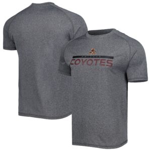 Men's Charcoal Arizona Coyotes Impact Raglan T-Shirt