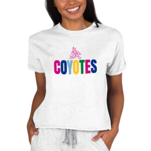 Women's Concepts Sport Oatmeal Arizona Coyotes Tri-Blend Mainstream Terry Short Sleeve Sweatshirt Top